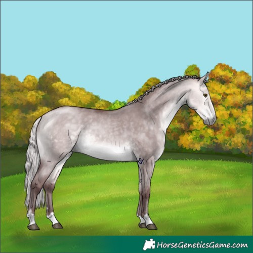 Horse Color:Platinum Chocolate Silver Buckskin Dun 