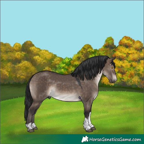 Horse Color:Brown Dun Mushroom Tobiano 