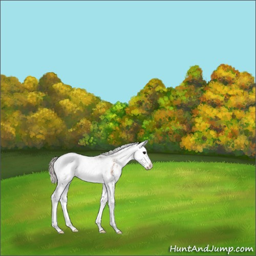 Horse Color:Silver Buckskin Sabino Splash