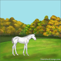 Horse Color:Silver Buckskin Sabino Splash