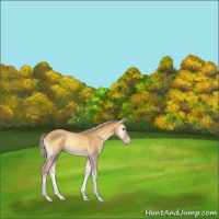 Horse Color:Gold Cream Champagne Onyx 