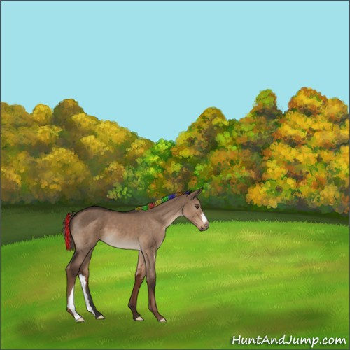 Horse Color:Painted Liver Red Dun 