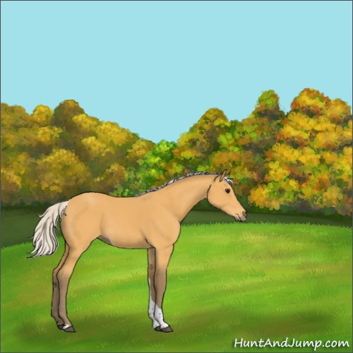 Horse Color:Silver Buckskin Tobiano 