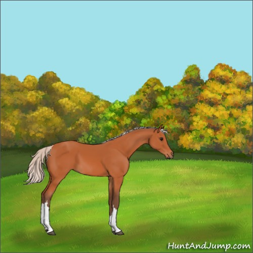 Horse Color:Silver Bay