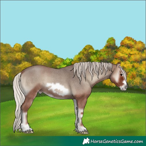 Horse Color:Silver Blue Onyx Roan Frame 