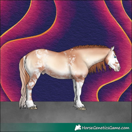 Horse Color:White Spotted Gold Champagne Onyx Splash 
