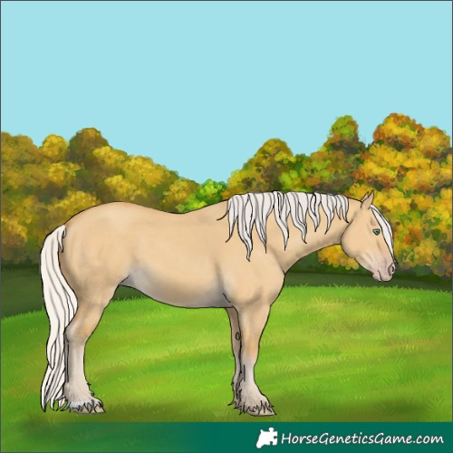 Horse Color:Silver Classic Cream Champagne Dun