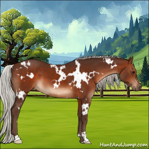 Horse Color:White Spotted Silver Brown