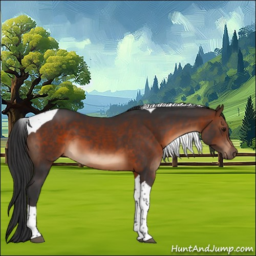 Horse Color:Brown Tobiano