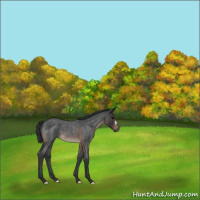 Horse Color:Brown Roan