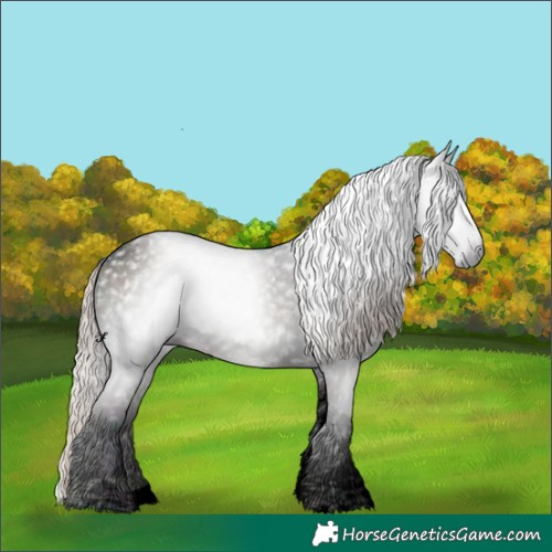 Horse Color:Gray Void Midnight Silver Brown Roan Onyx Mushroom Tobiano 