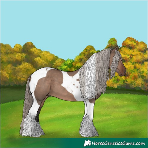 Horse Color:Liver Red Dun Mushroom Tobiano 