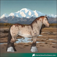 Horse Color:Bay Dun Brindle 