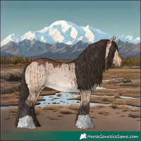Horse Color:Bay Dun Brindle 