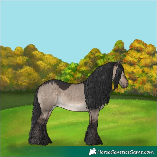Horse Color:Brown Dun Mushroom 