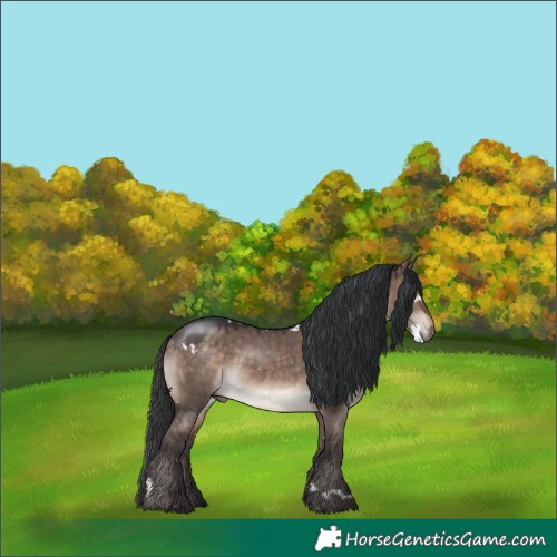 Horse Color:White Spotted Brown Dun Mushroom Rabicano 
