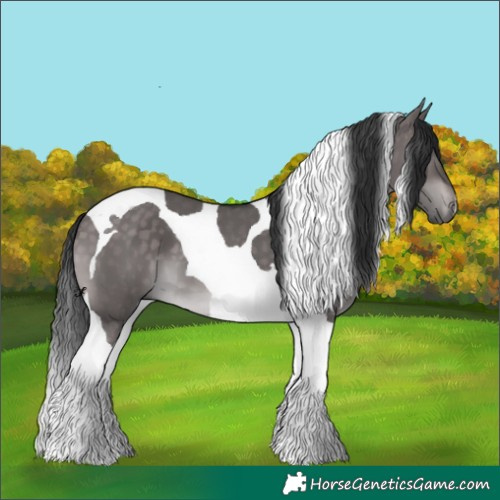 Horse Color:Platinum Brown Dun Tobiano 