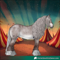 Horse Color:Gray Platinum Chocolate Silver Bay Roan Dun 