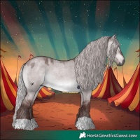 Horse Color:Gray Platinum Chocolate Silver Bay Roan Dun 