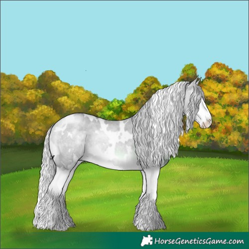Horse Color:White Spotted Silver Bay Chinchilla Roan Dun Splash 