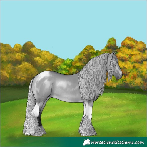 Horse Color:Silver Brown Chinchilla Dun Tobiano Rabicano 