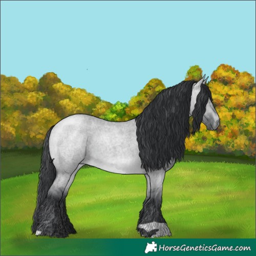 Horse Color:Brown Chinchilla Roan Dun 