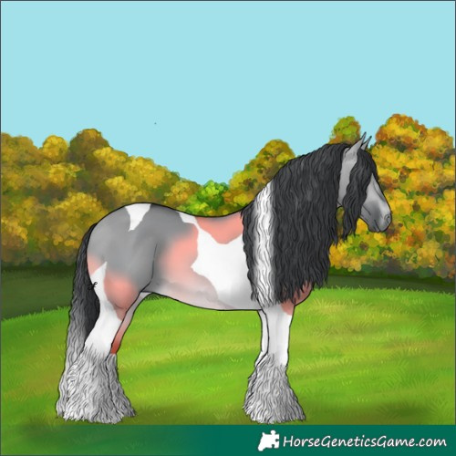 Horse Color:Brown Chinchilla Dun Tobiano 