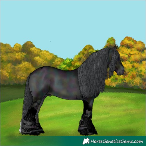 Horse Color:Void Midnight Brown Chinchilla Onyx Tobiano 