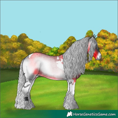 Horse Color:Silver Blue Onyx Chinchilla Roan Tobiano 