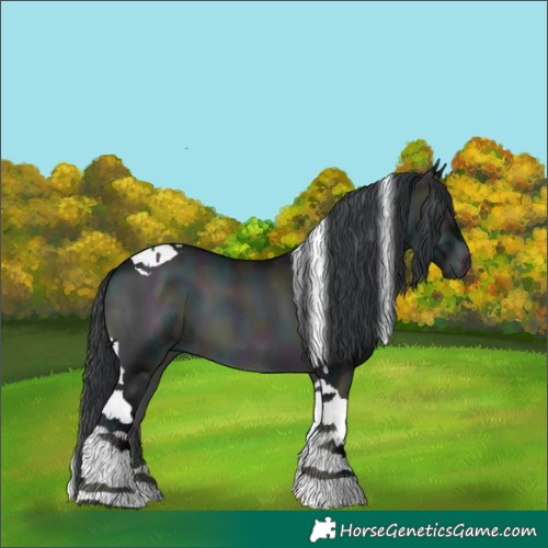 Horse Color:Midnight Brown Chinchilla Onyx Tobiano 