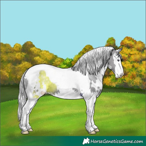 Horse Color:White Spotted Silver Smoky Grullo Chinchilla Splash Tobiano 