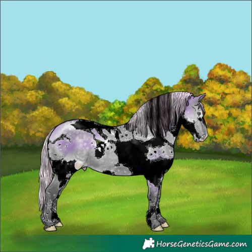 Horse Color:Painted Silver Grullo Chinchilla Splash Tobiano 