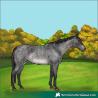 Horse Color:Platinum Brown Roan 