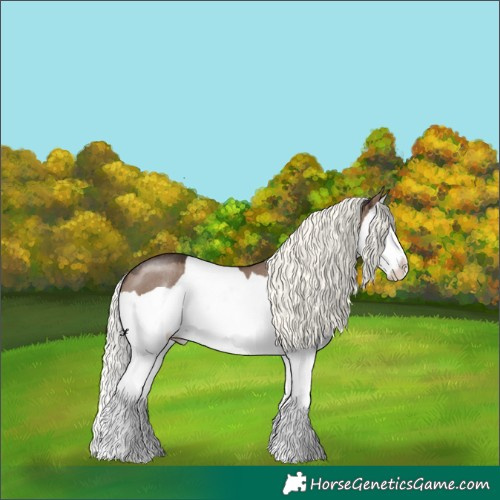 Horse Color:Liver Red Dun Mushroom Splash Rabicano 