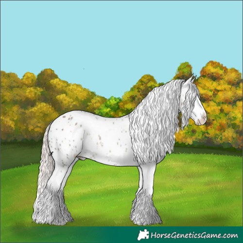 Horse Color:White Spotted Silver Smoky Grullo Tobiano Appaloosa Rabicano 