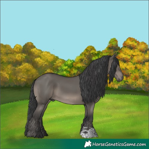 Horse Color:Grullo 
