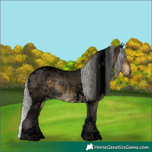 Horse Color:Void Silver Buckskin Roan Tobiano 