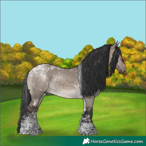 Horse Color:Brown Dun Mushroom Tobiano Rabicano 