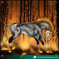 Horse Color:Void Silver Brown Chinchilla Dun Tobiano Appaloosa Brindle 