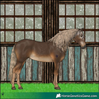 Horse Color:Gray Chocolate Palomino 