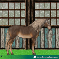 Horse Color:Gray Chocolate Palomino 