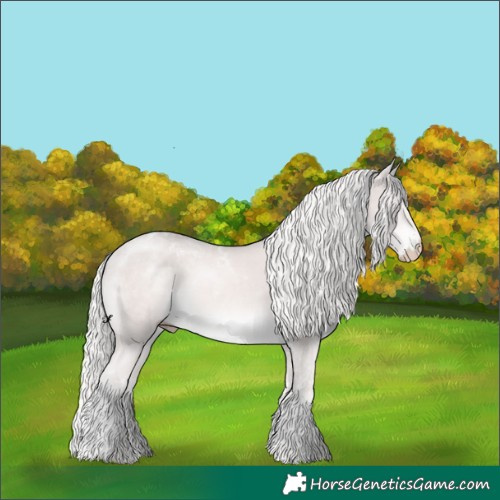 Horse Color:Platinum Cremello Tobiano 
