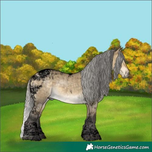 Horse Color:Void Silver Buckskin Dun Tobiano 