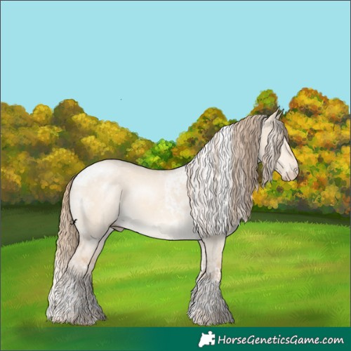 Horse Color:Perlino Dun Tobiano 