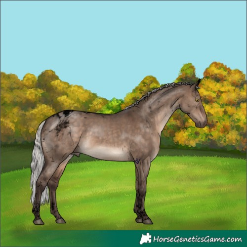 Horse Color:Void Silver Brown Dun Tobiano 