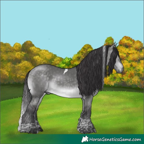 Horse Color:Platinum Buckskin Dun Tobiano 