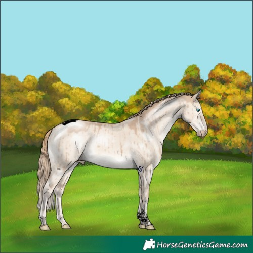 Horse Color:Void Chocolate Perlino Dun Tobiano Brindle 