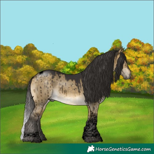 Horse Color:Void Buckskin Dun Tobiano Brindle 