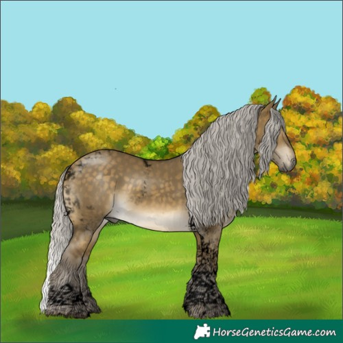 Horse Color:Void Silver Buckskin Dun Tobiano 