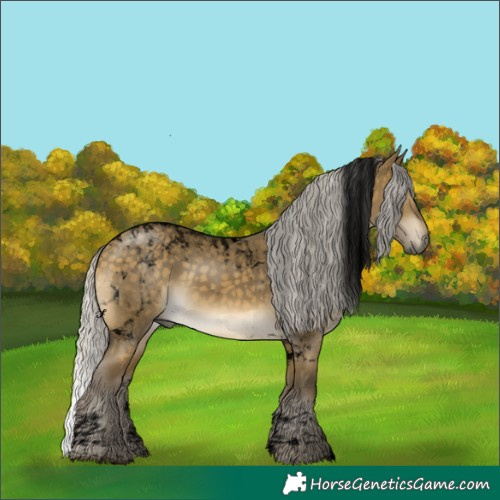 Horse Color:Void Silver Buckskin Dun Tobiano 